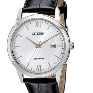 Citizen Men's Eco-Drive Stainless Steel Watch